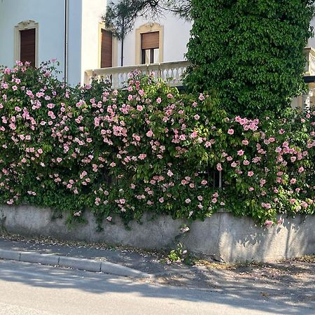 Il Bozzolo Eco Boutique Apartments Valeggio sul Mincio Dış mekan fotoğraf