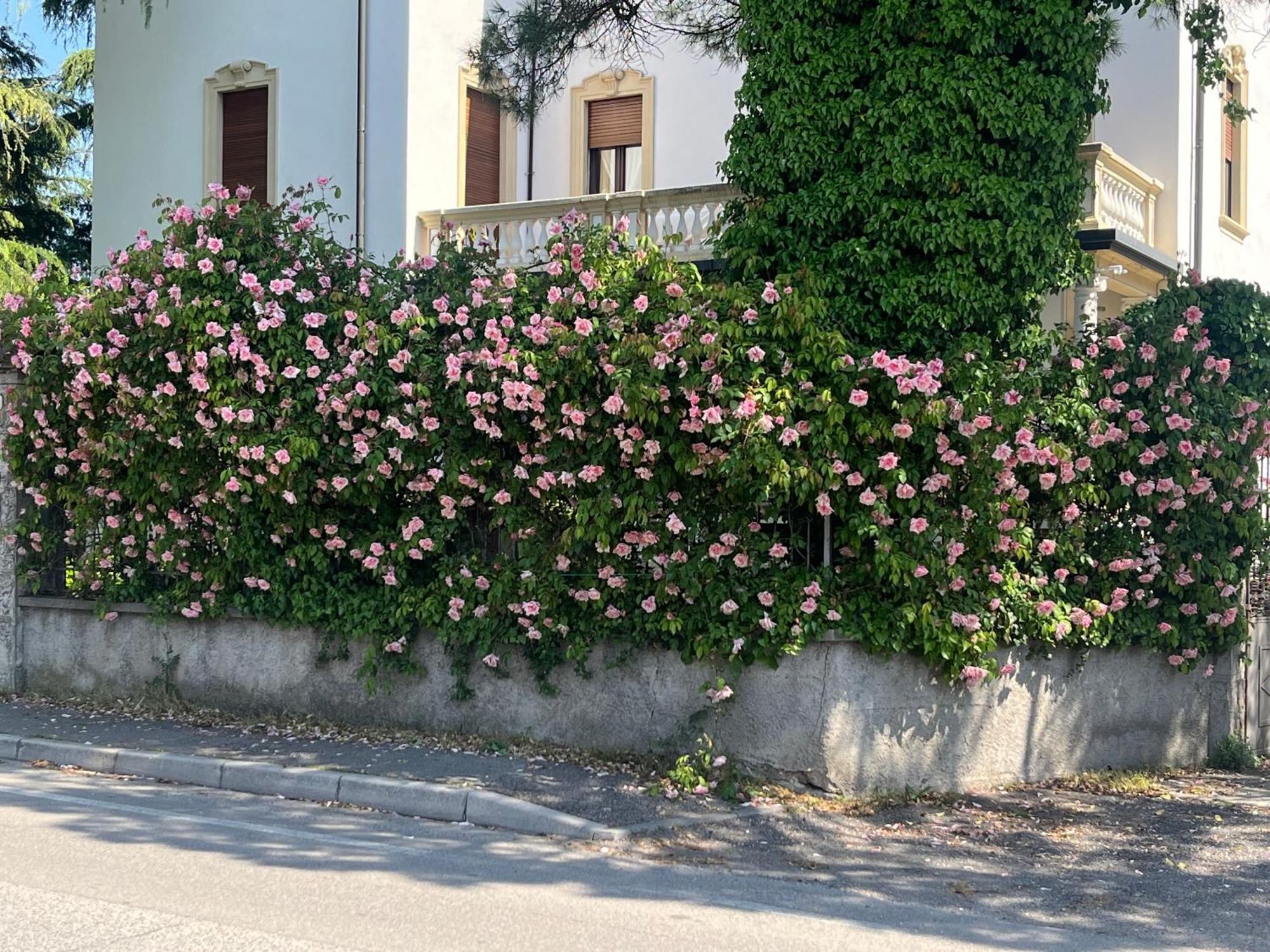 Il Bozzolo Eco Boutique Apartments Valeggio sul Mincio Dış mekan fotoğraf